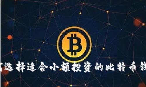如何选择适合小额投资的比特币钱包？