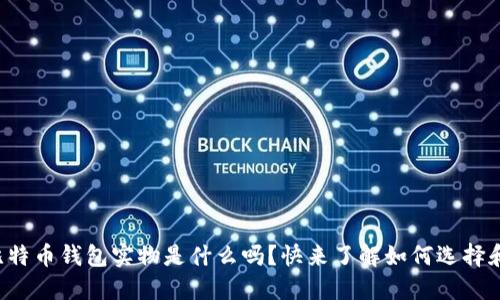 你知道比特币钱包实物是什么吗？快来了解如何选择和使用它！