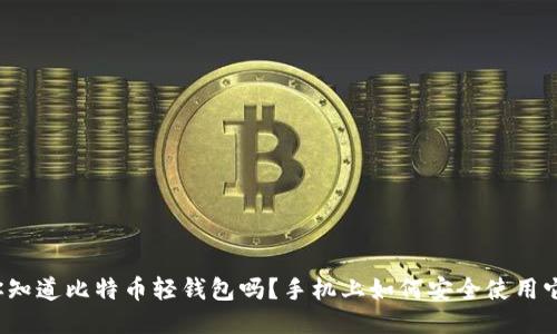 你知道比特币轻钱包吗？手机上如何安全使用它？