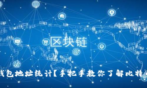 怎么查看比特币钱包地址统计？手把手教你了解比特币地址背后的秘密