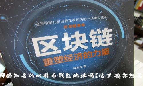 你知道哪些知名的比特币钱包地址吗？这里有你想要的答案！
