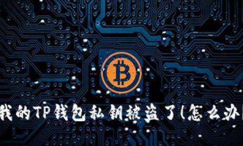我的TP钱包私钥被盗了！怎么办？