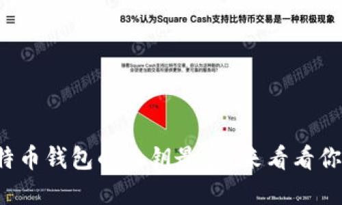 哪个比特币钱包的私钥最多？来看看你的选择！