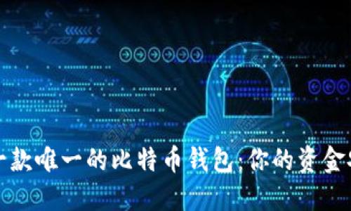 如何选择一款唯一的比特币钱包：你的资金安全守护者