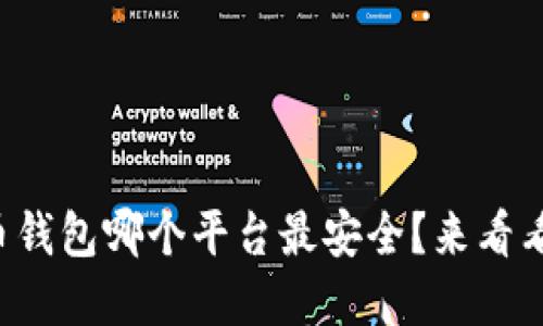 想知道比特币钱包哪个平台最安全？来看看这些选择吧！