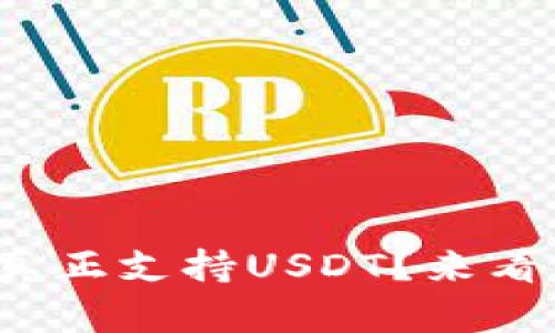 哪个数字钱包真正支持USDT？来看看你的选择吧！