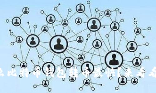 想知道什么比特币钱包转币最快？来看看这个攻略！