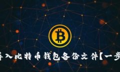 如何轻松导入比特币钱包