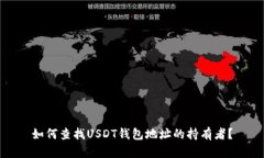 如何查找USDT钱包地址的持