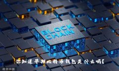 你知道早期比特币钱包是