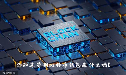 你知道早期比特币钱包是什么吗？