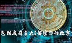 比特币钱包到底有多大？