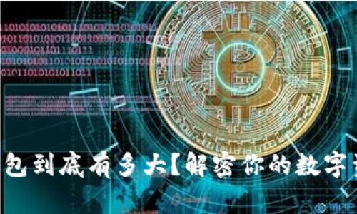 比特币钱包到底有多大？解密你的数字资产空间!