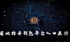你知道比特币钱包平台入