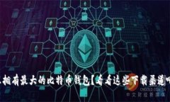 想拥有最大的比特币钱包