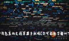 TP钱包真的支持苹果手机吗