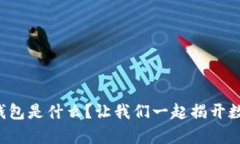 存储比特币的钱包是什么