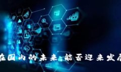 Web3在国内的未来：能否迎