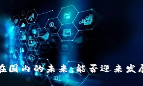 Web3在国内的未来：能否迎来发展春天？