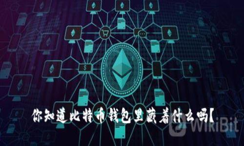 你知道比特币钱包里藏着什么吗？