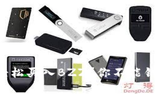 如何用TP钱包轻松买入BZZ？你不能错过的实用步骤！