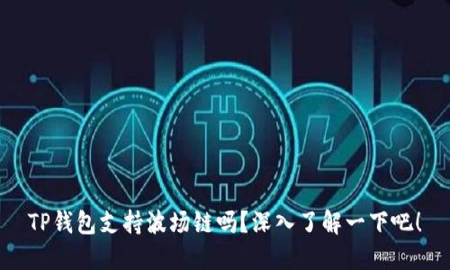 TP钱包支持波场链吗？深入了解一下吧！