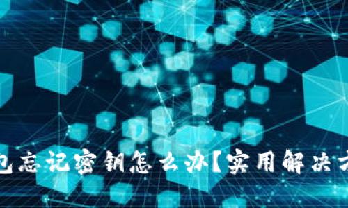 比特币钱包忘记密钥怎么办？实用解决方案与建议