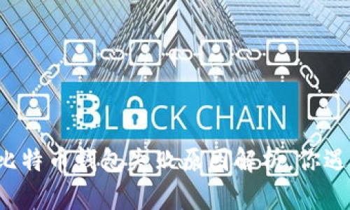 “TP钱包比特币钱包失败原因解析，你遇到过吗？”