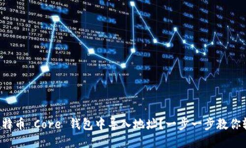 如何在比特币 Core 钱包中导入地址？一步一步教你轻松搞定！