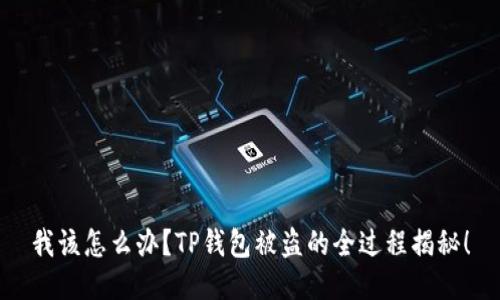 我该怎么办？TP钱包被盗的全过程揭秘！