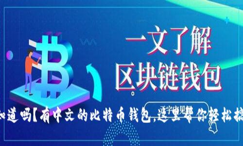 你知道吗？有中文的比特币钱包，这里帮你轻松搞定！
