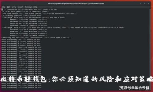 比特币轻钱包：你必须知道的风险和应对策略