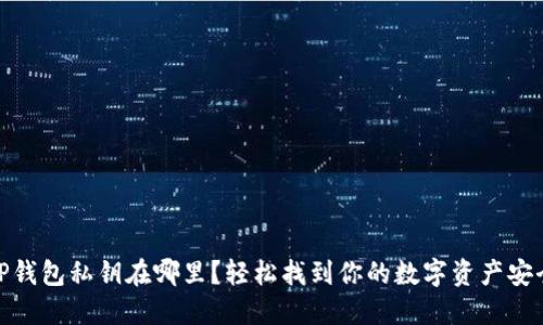 TP钱包私钥在哪里？轻松找到你的数字资产安全