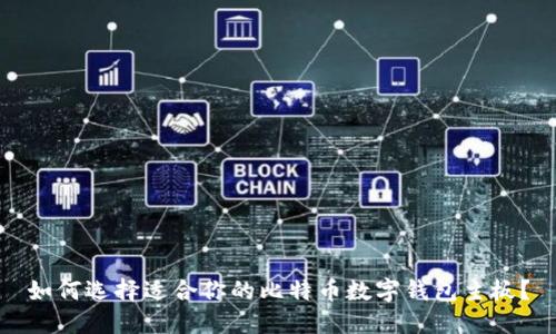 如何选择适合你的比特币数字钱包主板？