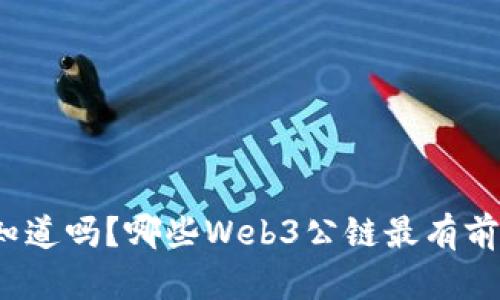 你知道吗？哪些Web3公链最有前景？