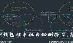 我的TP钱包被手机自动删除