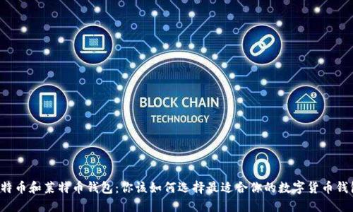 比特币和莱特币钱包：你该如何选择最适合你的数字货币钱包？