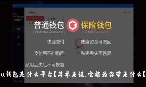 u钱包是什么平台？简单来说，它能为你带来什么？