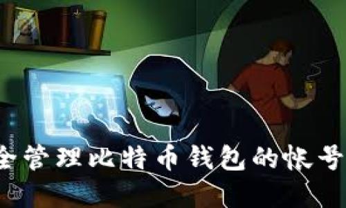 如何安全管理比特币钱包的帐号和公钥？