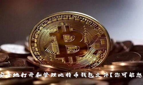 如何安全地打开和管理比特币钱包文件？你可能想知道！
