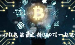 Coinomi钱包能否支持USDT？一
