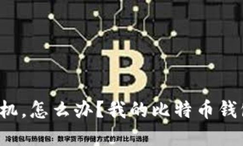 “我丢了手机，怎么办？我的比特币钱包还在吗？”