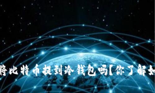 OKEX可以将比特币提到冷钱包吗？你了解如何操作吗？