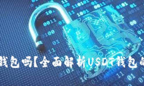 : USDT可以放钱包吗？全面解析USDT钱包的选择与安全性