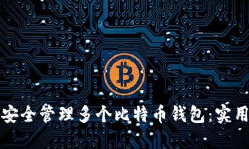 如何安全管理多个比特币钱包：实用指南
