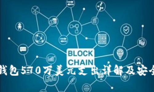 比特币钱包570万美元支出详解及安全性分析