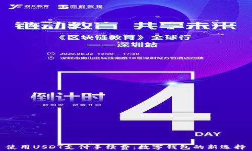 
使用USDT支付手续费：数字钱包的新选择