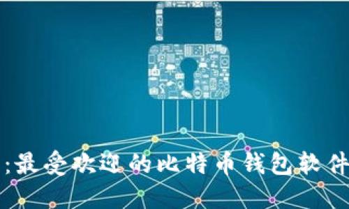 比特币钱包推荐：最受欢迎的比特币钱包软件下载与使用指南