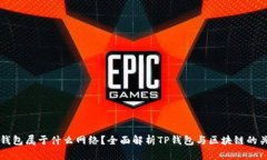 TP钱包属于什么网络？全面解析TP钱包与区块链的