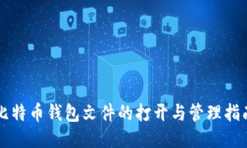 比特币钱包文件的打开与管理指南